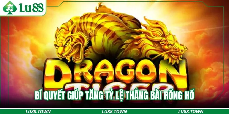 Bí quyết giúp tăng tỷ lệ thắng bài rồng hổ