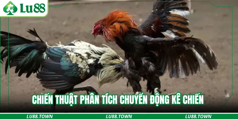 Chiến thuật phân tích chuyển động kê chiến 