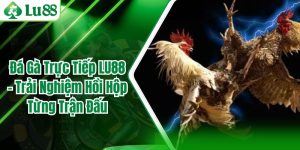 Đá Gà Trực Tiếp LU88 – Trải Nghiệm Hồi Hộp Từng Trận Đấu