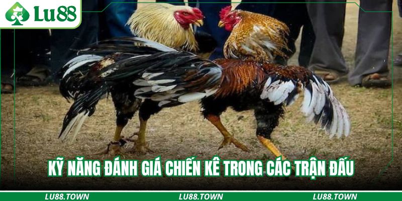 Kỹ năng đánh giá chiến kê trong các trận đấu