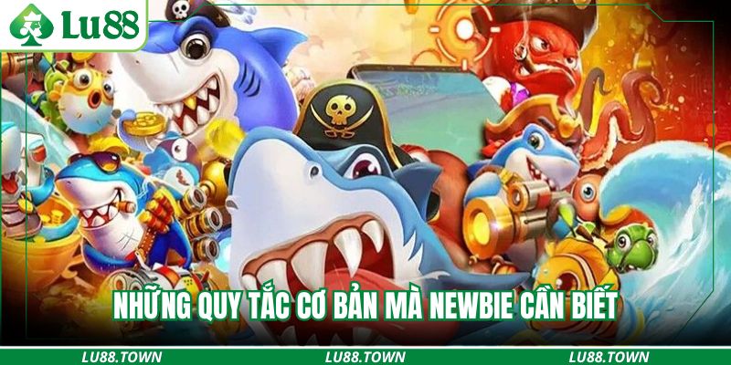 Những quy tắc cơ bản mà newbie cần biết