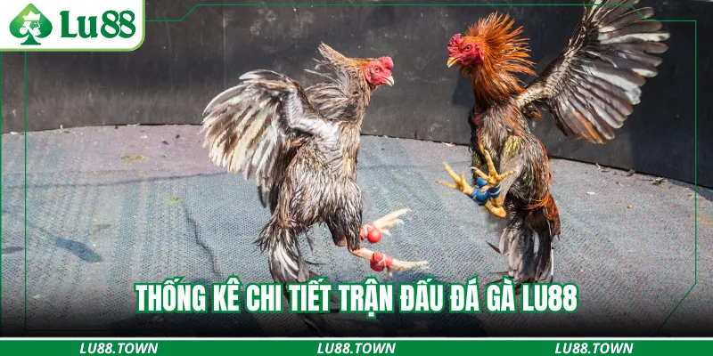 Thống kê chi tiết trận đấu đá gà LU88